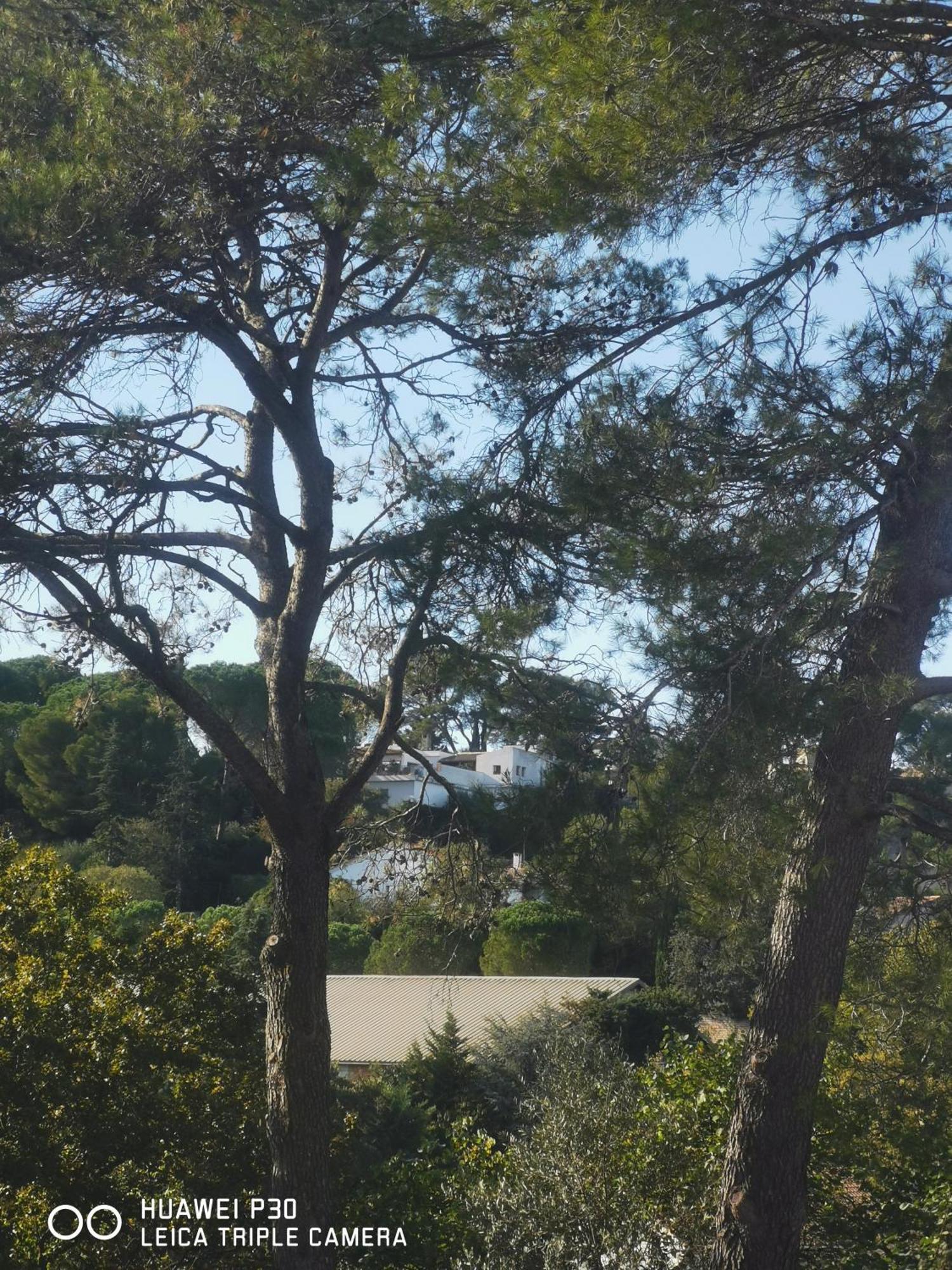 Les Pins Parking Prive Exterieur Lit King Size 180 Nîmes
